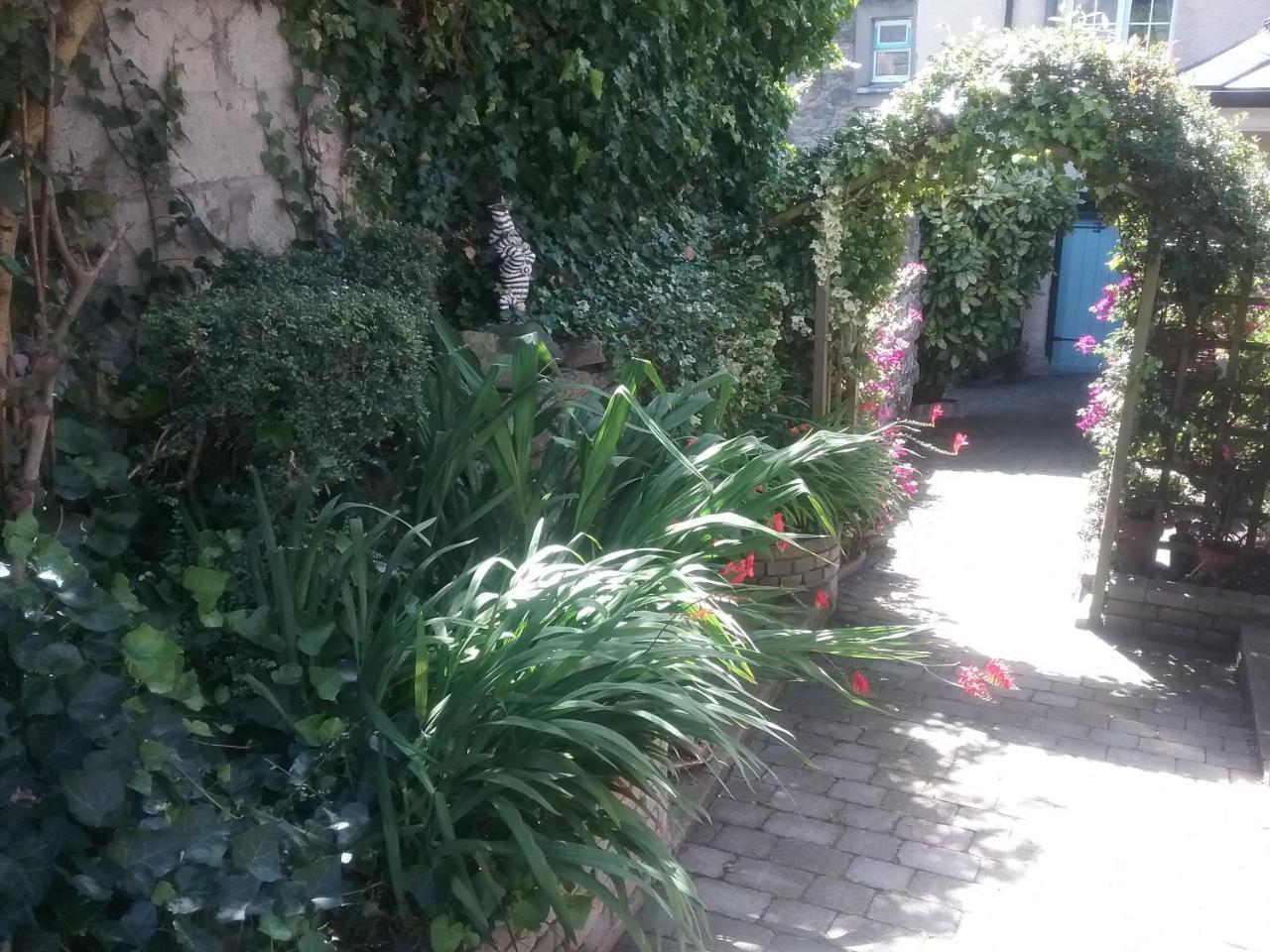 Ashleigh House Bed & Breakfast موناغان المظهر الخارجي الصورة